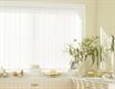 Vertical Blinds - lace-rose-white